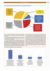 Koronavirová pandemie a její dopad na minipivovary