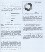 The Impact of Microbreweries on Travel in the Czech Republic